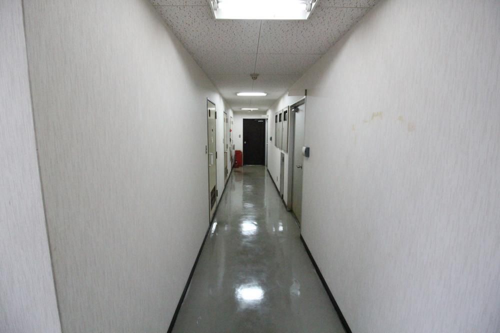 �y���̑����L�����z�@