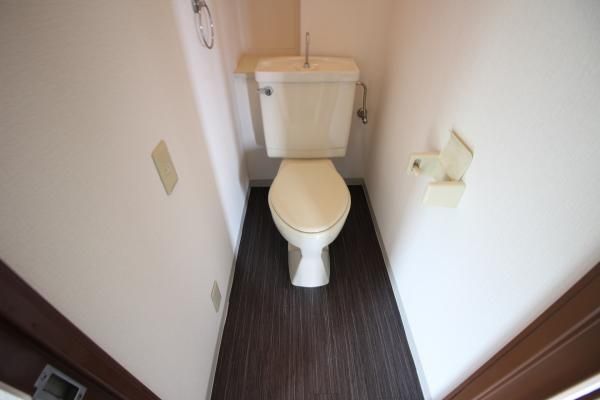 �y�g�C���z�@